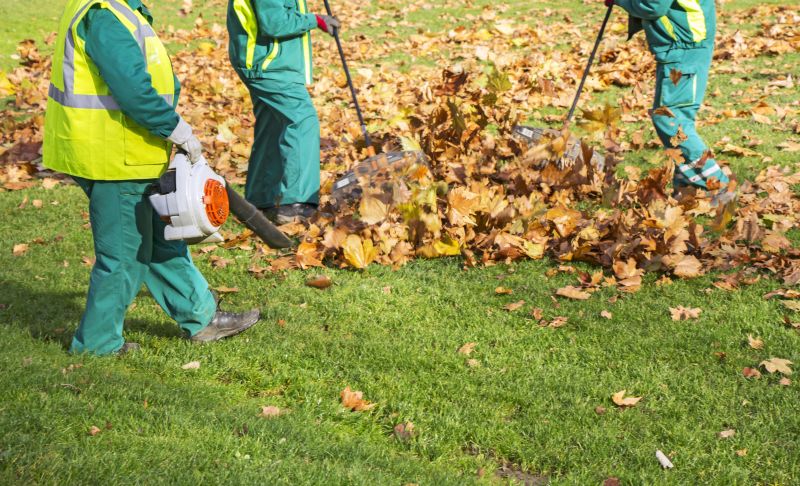 Contact About Leaf Raking Service