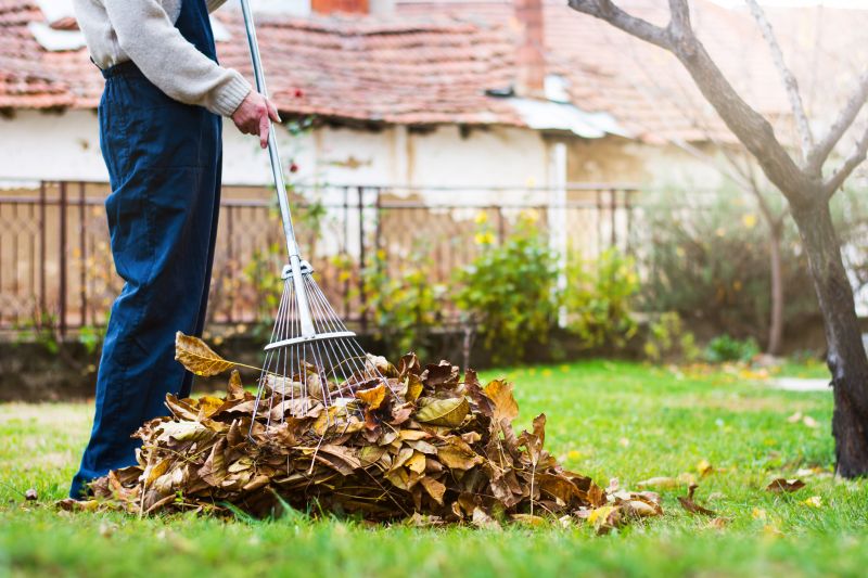 Leaf Raking Service