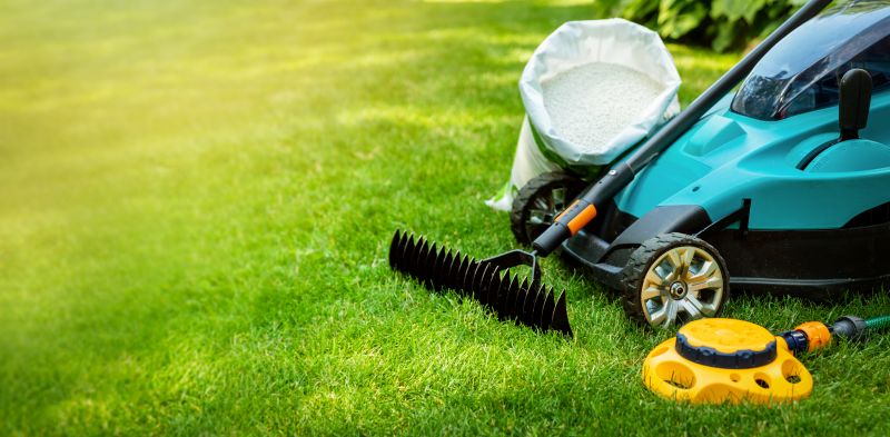 Lawn Care After Leaf Removal