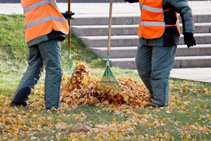 Leaf Raking Service