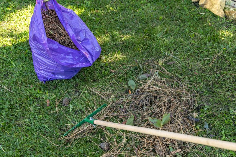 Seasonal Preparation