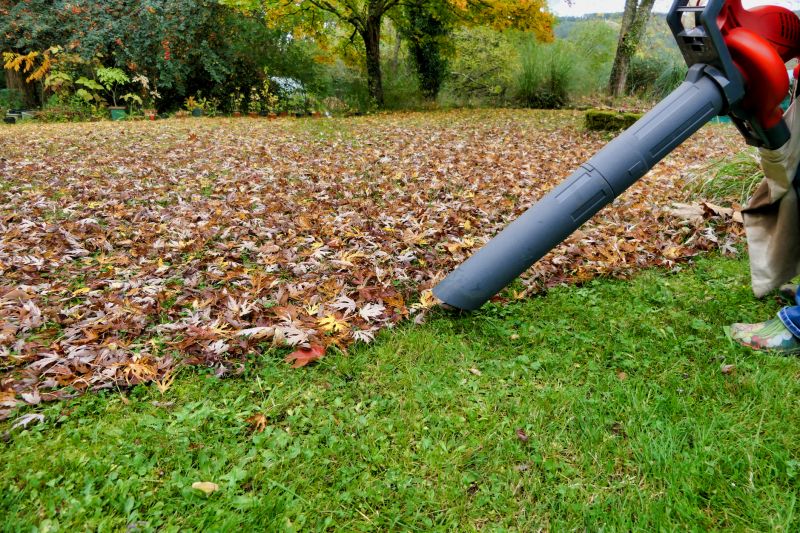 Leaf Raking Equipment