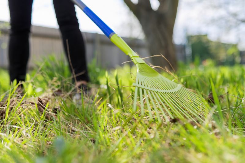 Products For Leaf Raking Service in use