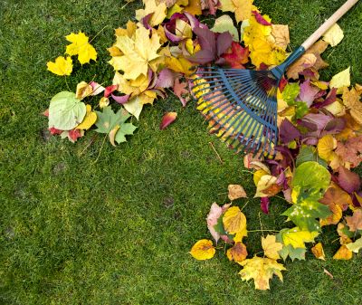 Give a Good Impression with Leaf Raking!