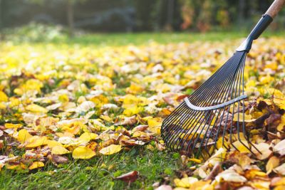 Maintain the Appearance of Your Home or Business with Leaf Raking!