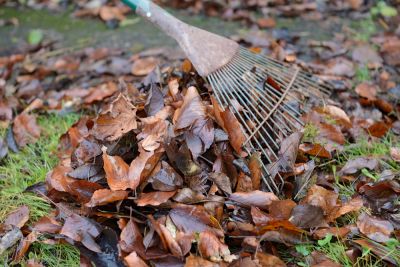 Prevent Injuries from Slipping on Wet Leaves!